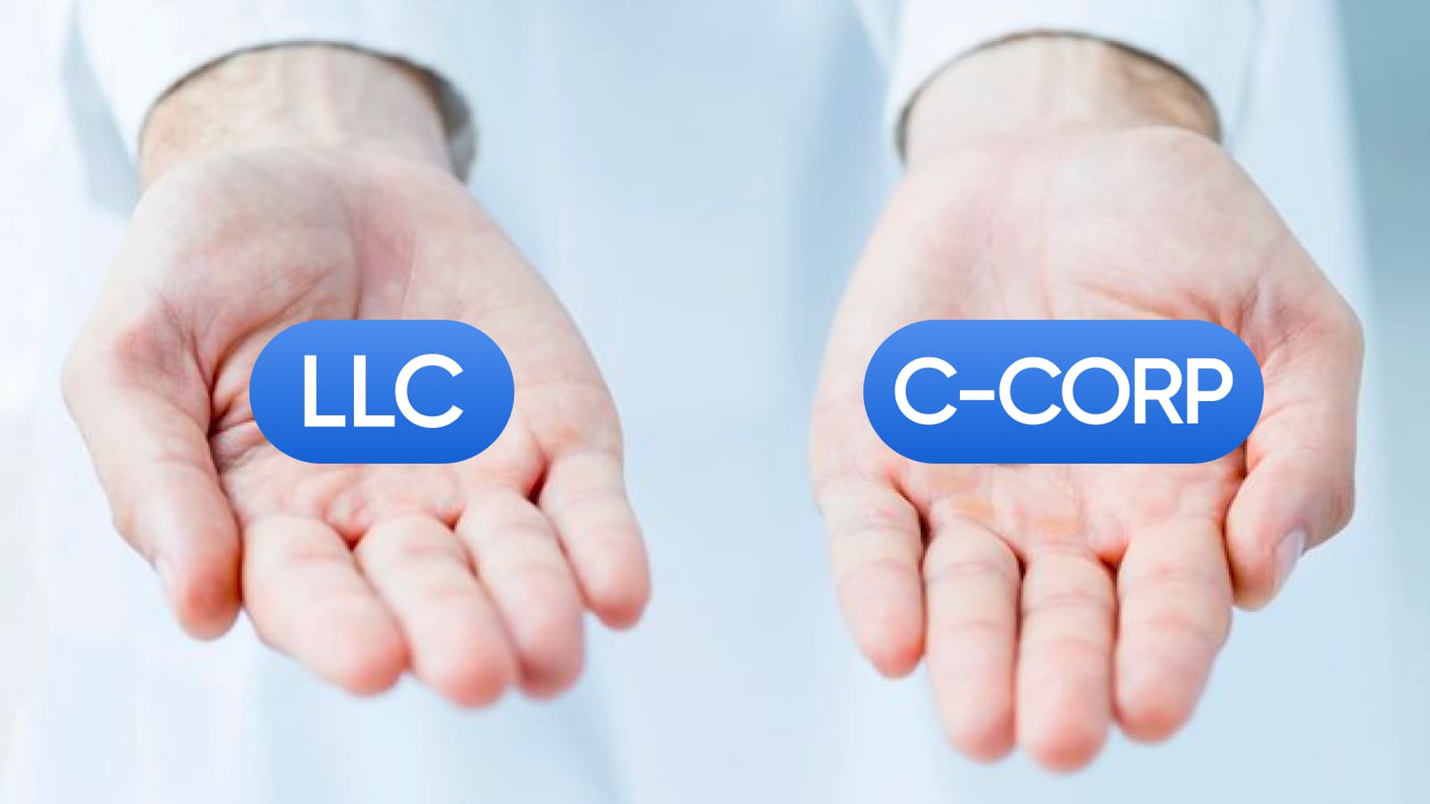 Для нерезидентов подходят две формы компании: LLC и Corporation